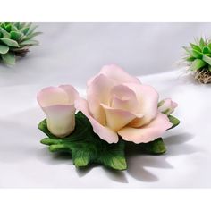 two pink roses sitting on top of green leaves