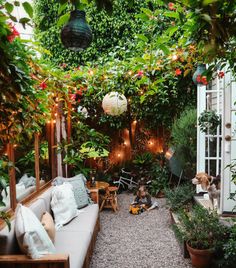 an outdoor living area with lots of plants and lights on the ceiling, along with a couch