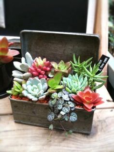 a wooden box filled with lots of succulents on top of a table