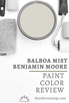 an image of paint colors with the title classic gray benhamm moore paint color review