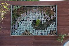 a wooden wall with plants growing in it