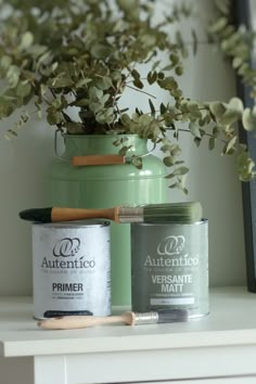 some paint cans are sitting on a shelf next to a potted plant and brush