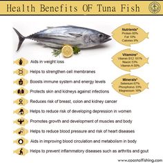 Tuna Fish, Boost Immune System, Lower Blood Pressure, Cholesterol Levels, Pranayama, Health Info, How To Increase Energy, Blood Pressure