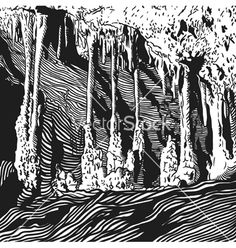 a black and white drawing of trees in the woods, with water flowing from them