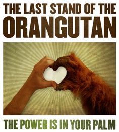 an advertisement for the last stand of the orangutan, with a hand holding a heart