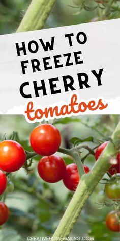 how to freeze cherry tomatoes in the garden with text overlay that reads, how to freeze cherry tomatoes