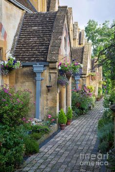 a cobblestone street lined with potted plants and flowers