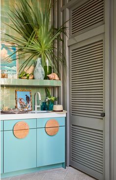 a green plant sitting on top of a wooden shelf next to a blue cabinet and door