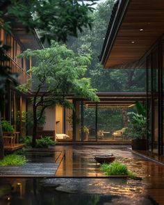 the inside of a house with trees and plants in it's courtyard area at night