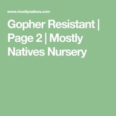 a green background with the words gopher resistant page 2 mostly native nursery nurses nursery