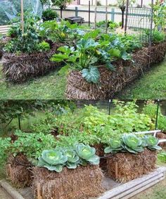 an outdoor garden with hay bales filled with plants and vegetables in the middle of it