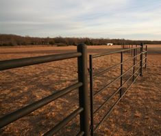 a fence in the middle of an open field with horses grazing on dry grass behind it