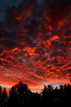 the sky is filled with red clouds as the sun sets in the distance behind some trees