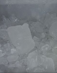 ice cubes and water in a bucket