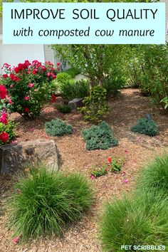 an image of a garden with flowers and plants in the foreground text reads improve soil quality with composted cow manure