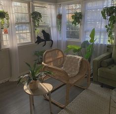 a living room filled with furniture and lots of plants on the windows sills