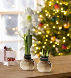 two vases with flowers in front of a christmas tree