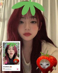 ᧔ ׄ 🌷 ♡ 𝅄 Filter by : lalolelionna ׅ ֹ ੭ Gorgeous Hairstyles, Hairstyles And Haircuts, Instagram Graphics