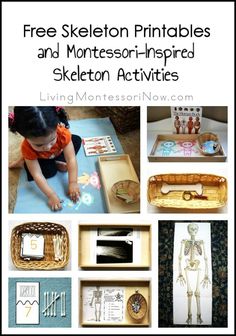 the skeleton printables and montesso - inspired activities for kids