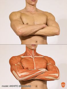 two pictures of the same man's torso and chest, both showing different muscles