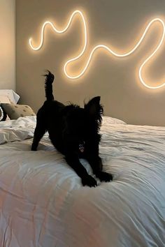 a black dog laying on top of a bed next to a neon light headboard