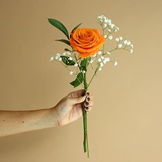 a hand holding an orange rose and baby's breath