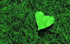 a heart shaped piece of paper sitting in the grass