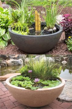 an outdoor pond with plants and rocks in it