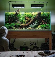 a person sitting at a table in front of a fish tank with plants and trees