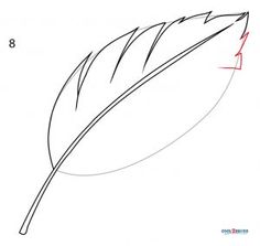 how to draw a feather step by step