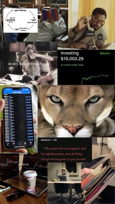 a collage of photos with people and animals in them, including an image of a cat