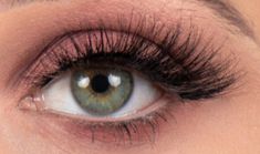 Perfect Eyelashes for small hooded eyes Best Fake Eyelashes For Hooded Eyes, Thick False Eyelashes, Subtle Fake Eyelashes, Best Eyelashes For Hooded Eyes, Lashes For Hooded Eyes False, Fake Eyelashes For Hooded Eyes, Hooded Eye Lashes Extensions, Best Lash Extensions For Hooded Eyes