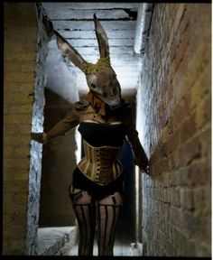 a woman dressed as a rabbit in an alley