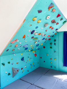 an indoor climbing wall in a room with blue walls