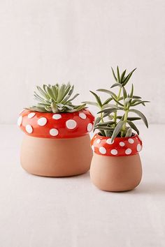 two potted plants sitting on top of each other