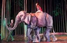 two people are riding on the back of an elephant in front of bamboo trees at night