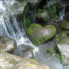 the rocks are covered in green moss and there is a waterfall coming out of them