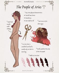 an info sheet describing the different types of hair and how to cut it with scissors