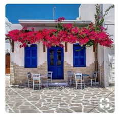 a white house with blue shutters and red flowers