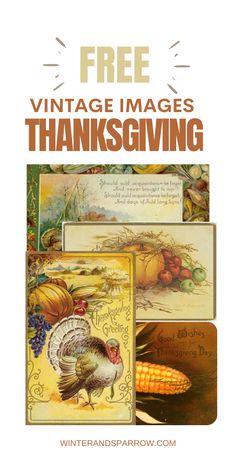 thanksgiving greeting card with an image of a turkey, corn and pumpkins on it