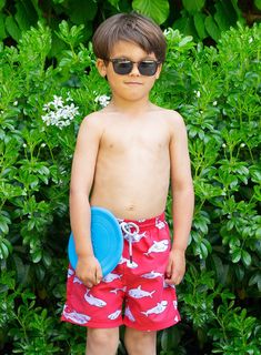 Boys Swimshorts in Red Shark Swim Pants, Boys Swim, Swimming Costume, Swim Shop, Kids Swimwear, Fun In The Sun, Holidays With Kids, Summer Accessories, Kids Beachwear