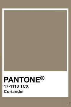 pantone's brown tone is shown with the words, 17 - 1089 tcx