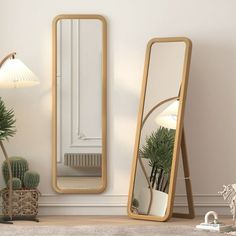 a room with two mirrors and plants on the floor next to each other in front of a white wall