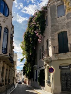 an empty street with buildings and flowers growing on the side of each building's windows