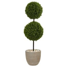 a potted plant with two topiary balls in it