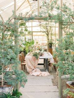 a woman sitting at a table in a greenhouse surrounded by greenery and potted plants