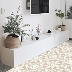 a living room with white furniture and plants on the shelf next to it, in front of a flat screen tv