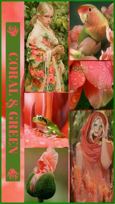 a collage of photos with flowers, plants and animals in green and pink colors