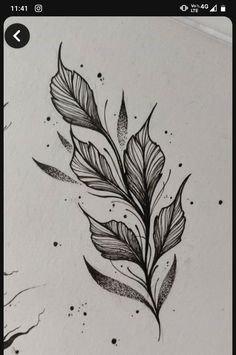 a black and white drawing of leaves on paper