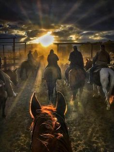 a group of people riding on the backs of horses in front of an orange sun